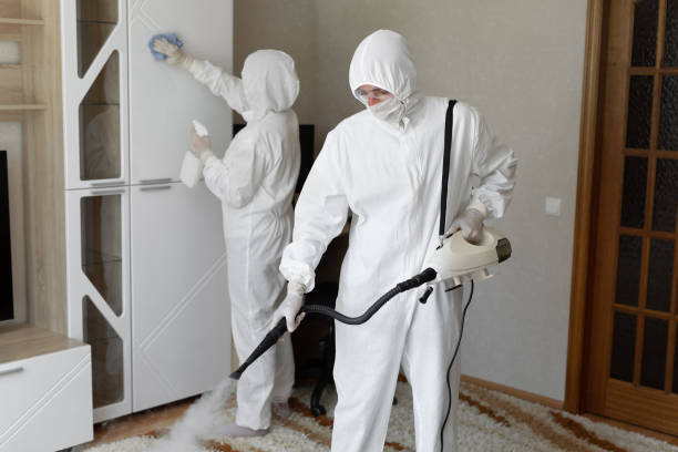 Best Commercial Mold Removal  in Dawson, TX