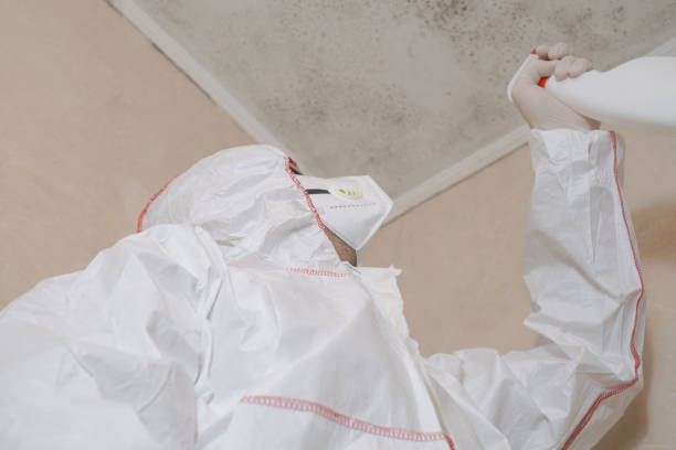 Best Mold Removal Process  in Dawson, TX