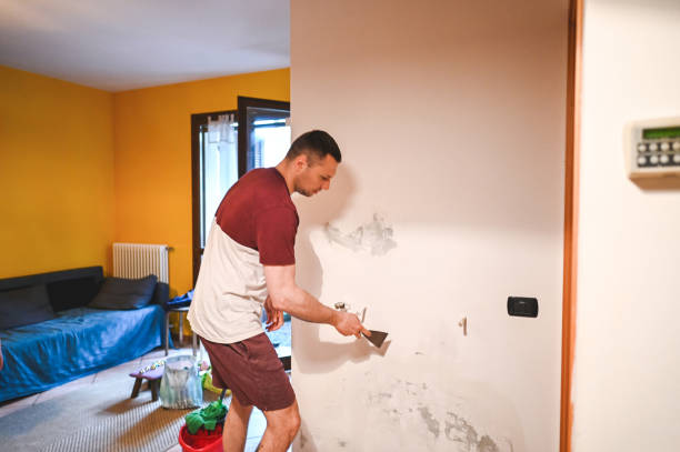 Best Mold Removal Near Me  in Dawson, TX