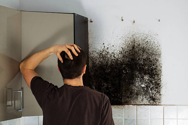 Best Crawl Space Mold Removal  in Dawson, TX